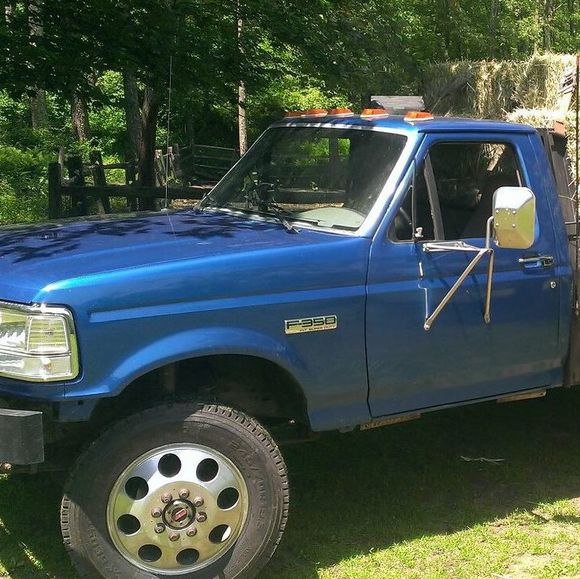 Meet your Posher, Casey - Picture 1 of 1